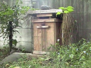 はちのおうち_R